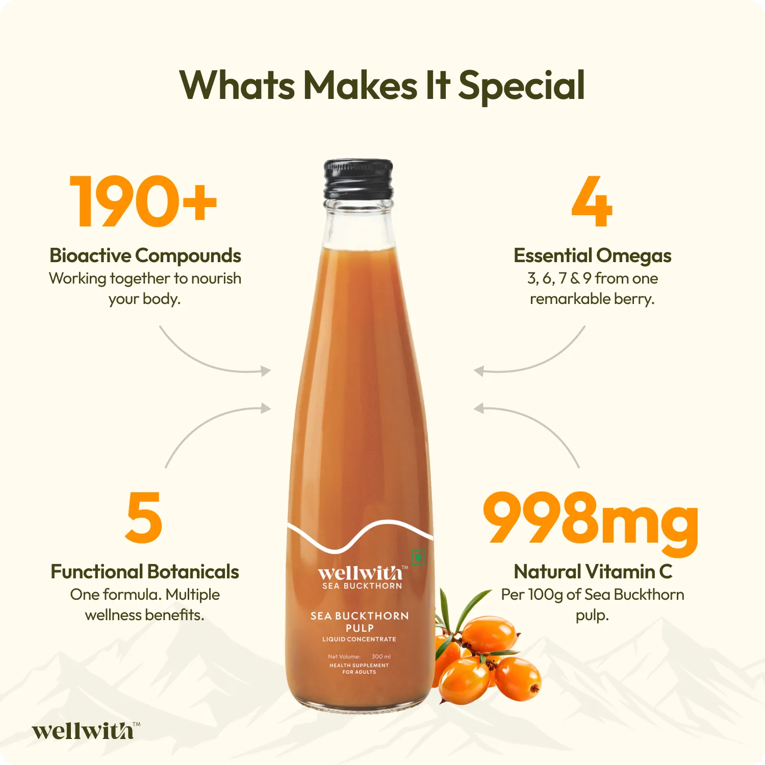 Sea Buckthorn Juice (Pulp) 300ml