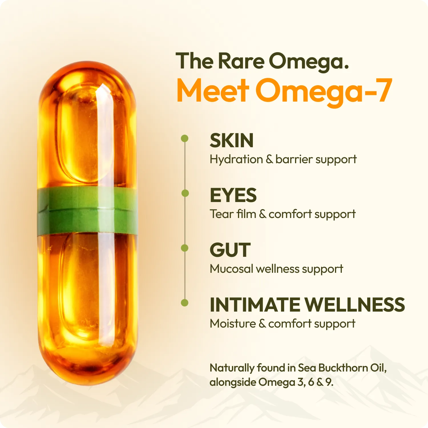 Sea Buckthorn Omega 3,6,7,9 Oil Capsule (30 Capsule)