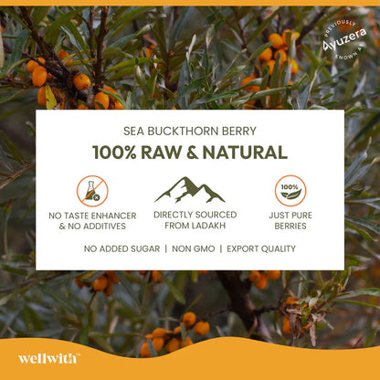 Sea Buckthorn Juice (Pulp) 300ml