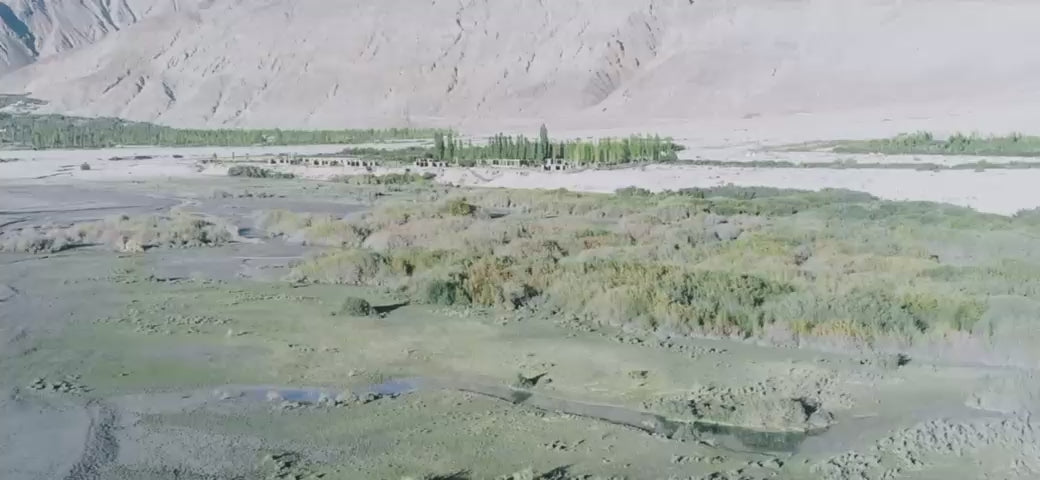 e459891385c04fdebc74052b36f48be8.mp4__PID:b2275b9c-b0ae-46d6-8377-52dd00d871e8